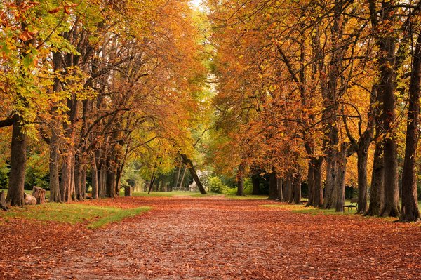 Quali sono i migliori parchi divertimenti per una giornata piena di emozioni con gli amici?